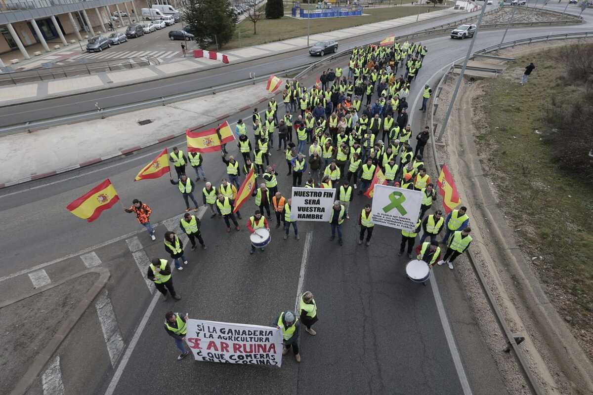 Los agricultores marchan en la protesta hacia la Subdelegación del Gobierno  / EUGENIO GUTIÉRREZ