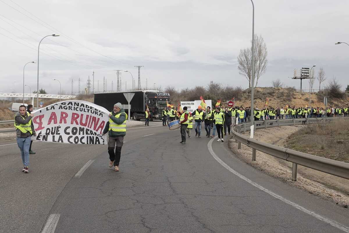 Los agricultores marchan en la protesta hacia la Subdelegación del Gobierno  / EUGENIO GUTIÉRREZ