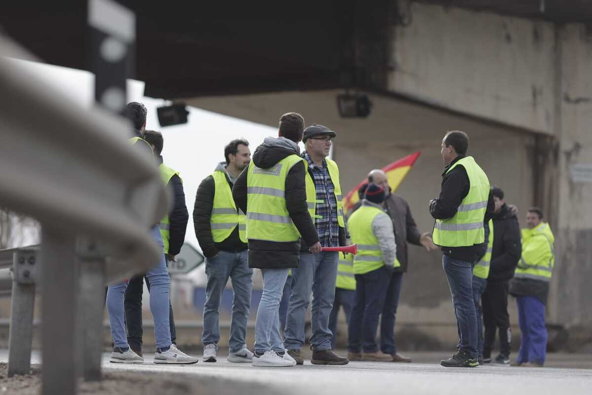 Los agricultores marchan en la protesta hacia la Subdelegación del Gobierno  / EUGENIO GUTIÉRREZ