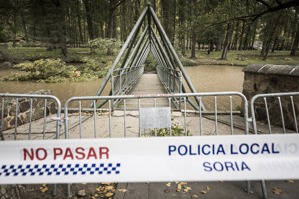 Un árbol de gran tamaño hunde una pasarela del Soto Playa