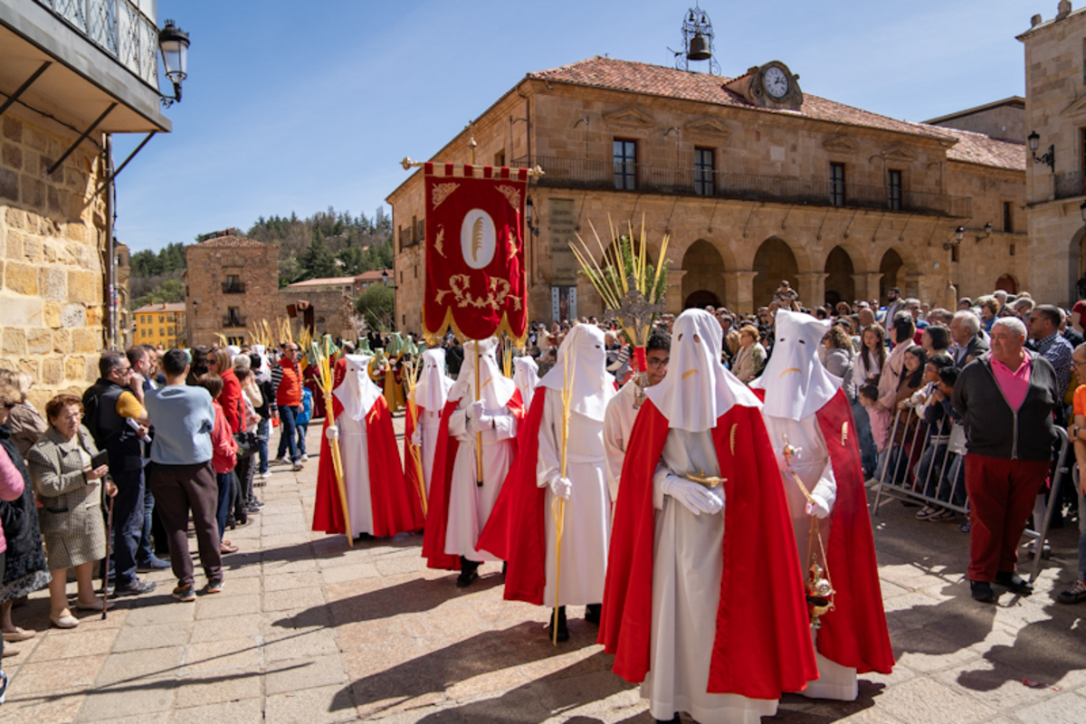 Procesión de Domingo de Ramos  / ICAL