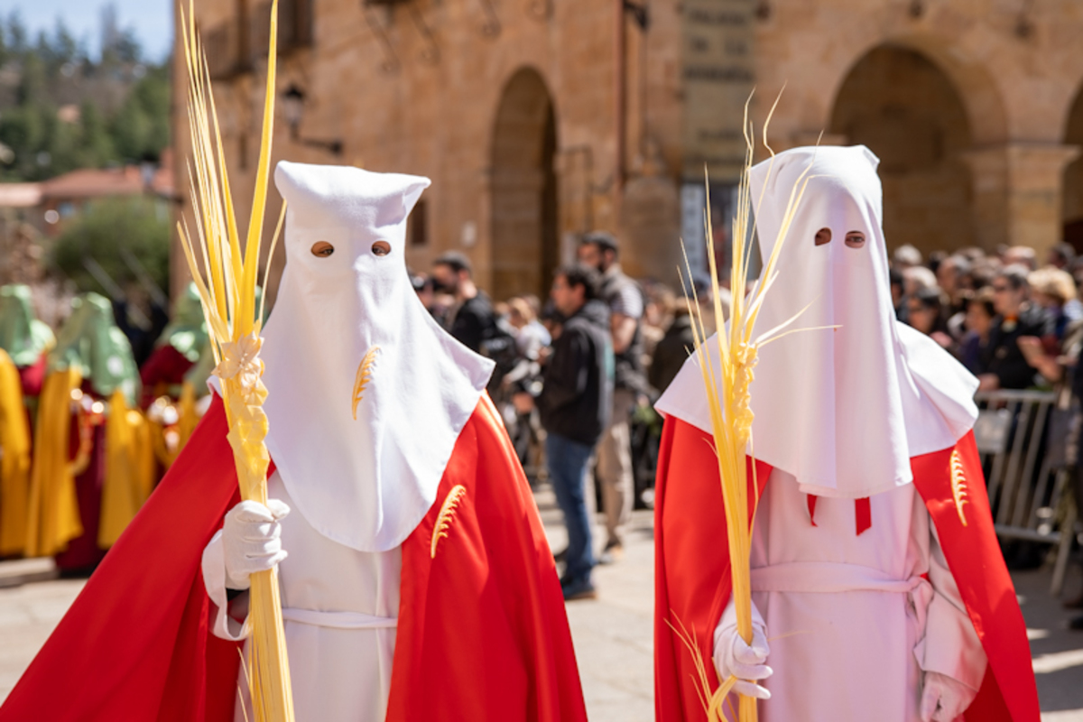 Procesión de Domingo de Ramos  / ICAL