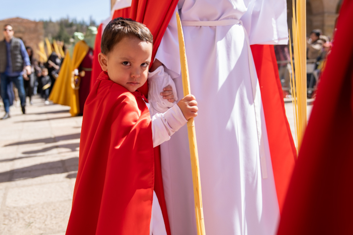 Procesión de Domingo de Ramos  / ICAL