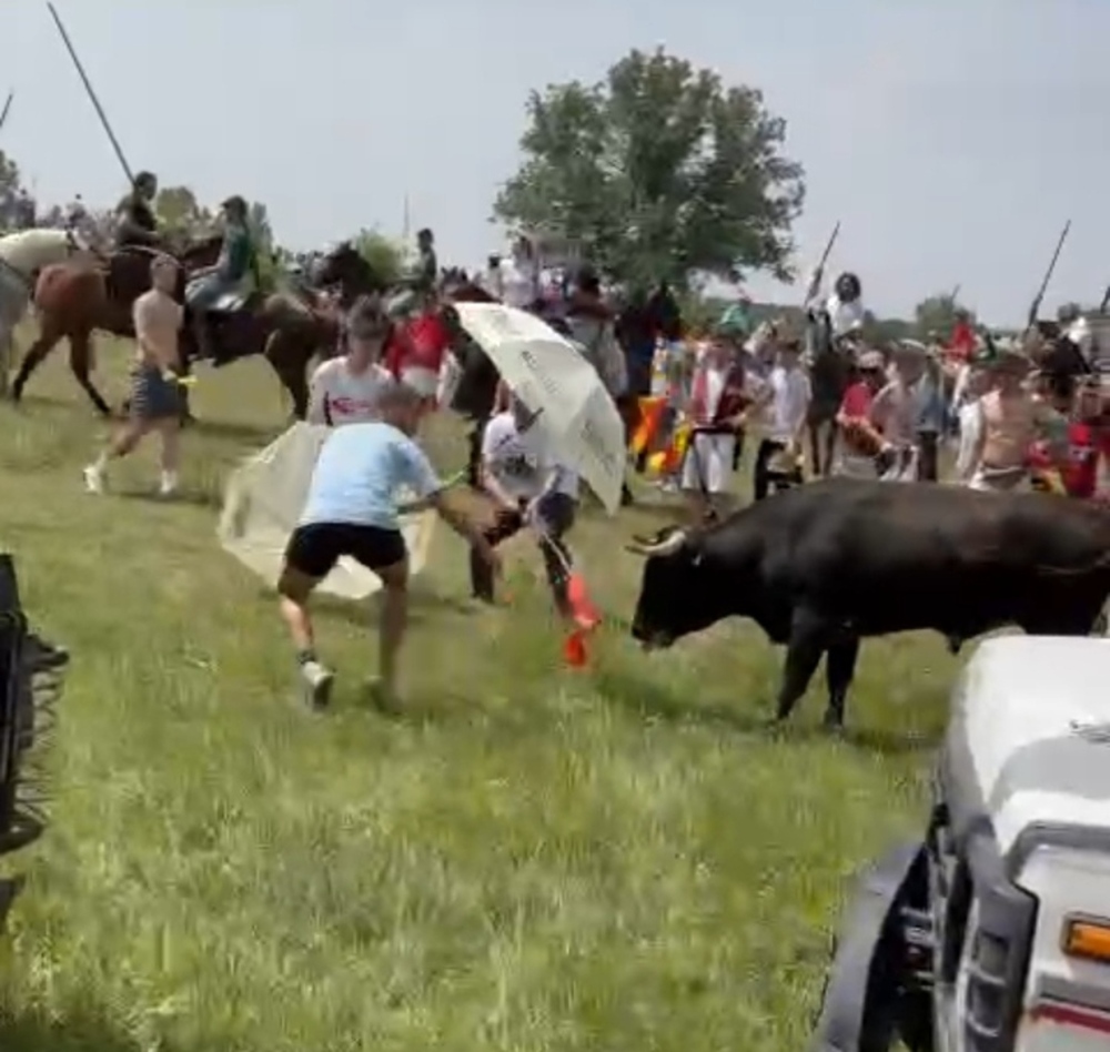 Empalagoso, el toro rebelde del primer tramo de la Saca