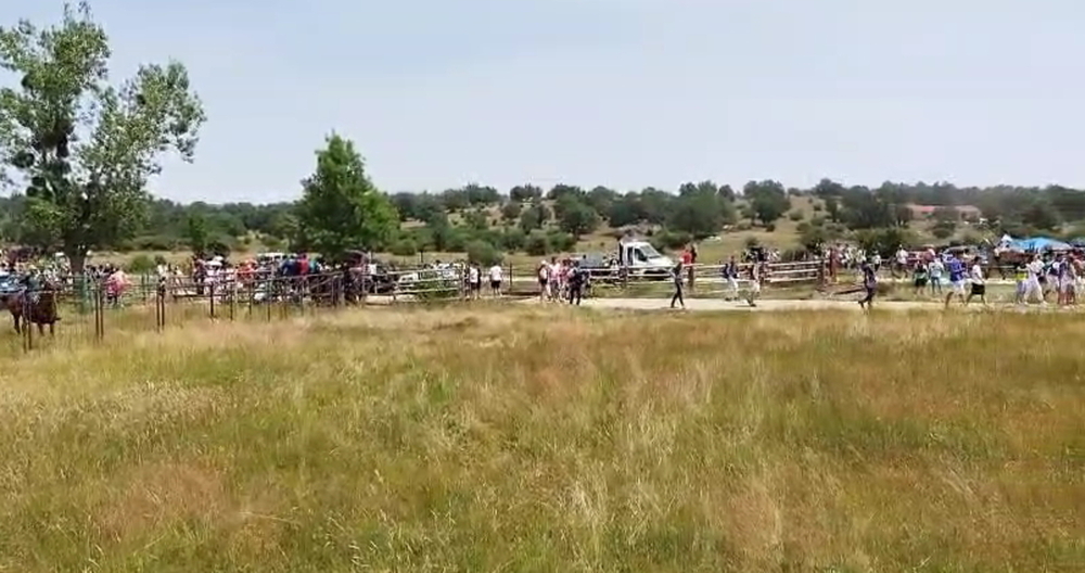 La Vega de San Millán se prepara ya para la segunda salida de los novillos.