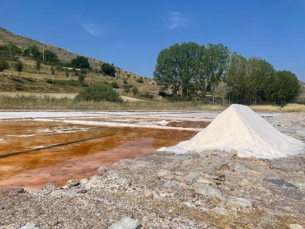 Salinas de Medinaceli celebra las Jornadas de la sal