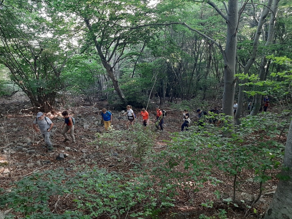 Un centenar de vecinos visita la Novena Parte del Moncayo