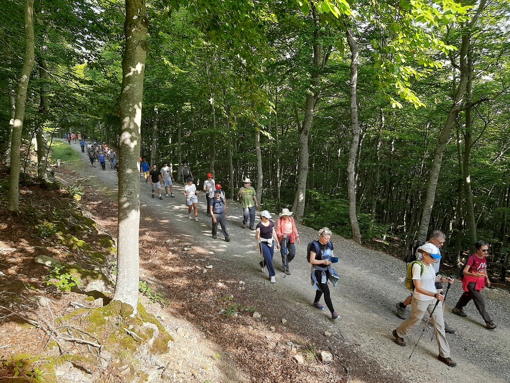 Un centenar de vecinos visita la Novena Parte del Moncayo