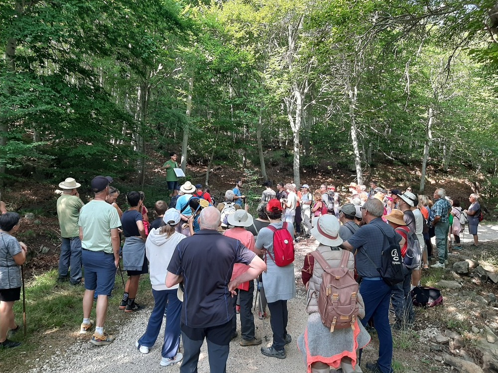 Un centenar de vecinos visita la Novena Parte del Moncayo