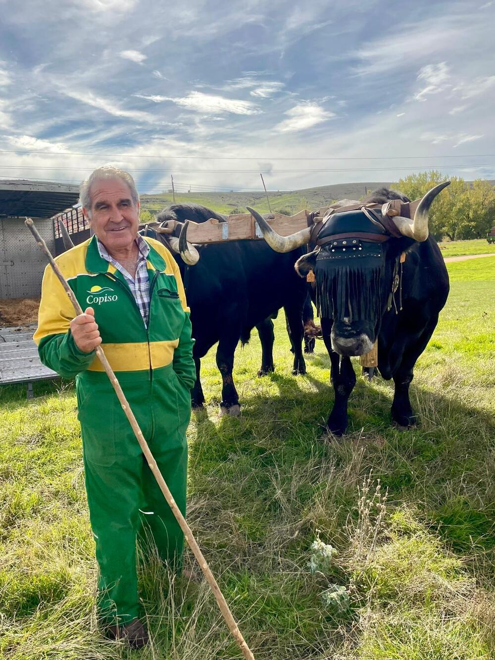 Borobia celebra su XV Feria Ganadera