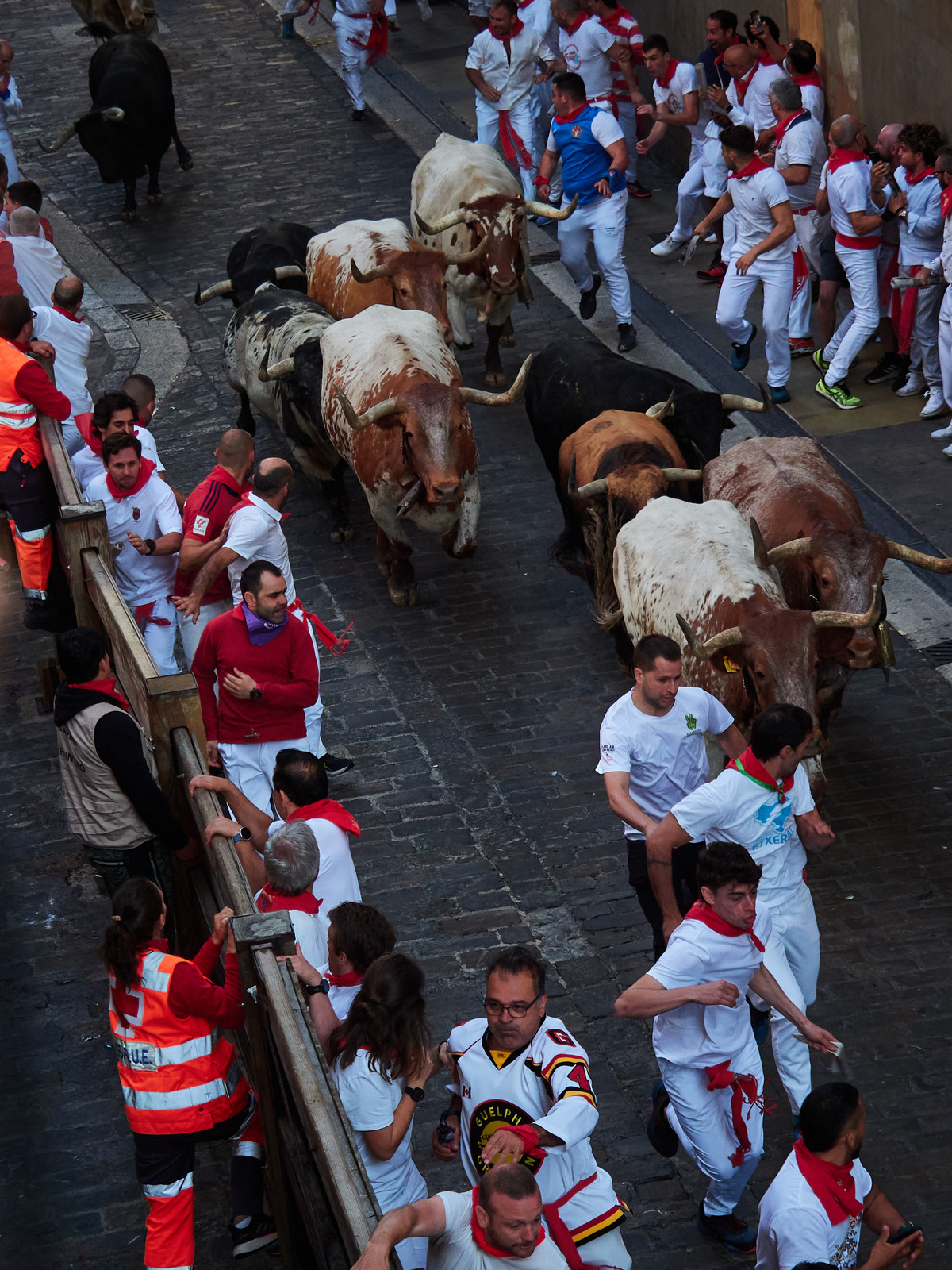 Los toros Cebada Gago protagonizan un encierro rápido y peligroso  / EDUARDO SANZ / EUROPA PRESS