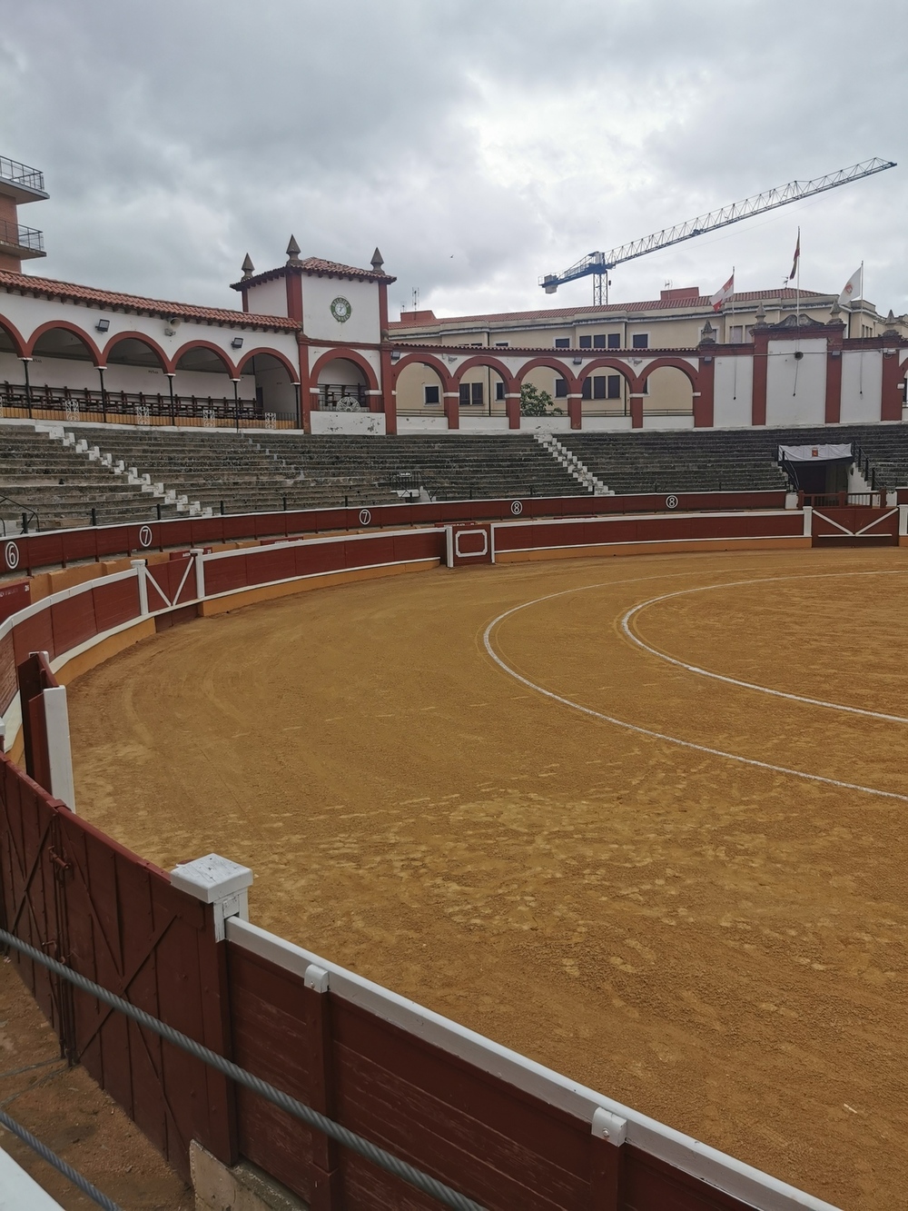 Los toros de Sábado Agés pasan el corte veterinario