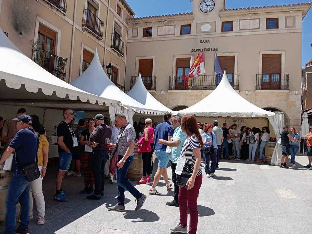 El carácter vinícola de la Ribera soriana en sus cepas