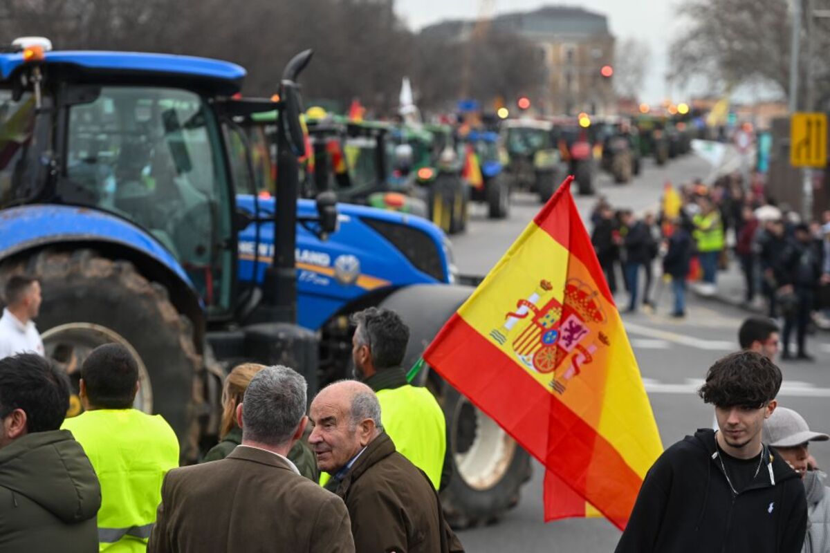 Protestas de los agricultores en Madrid  / FERNANDO VILLAR