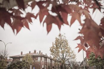 Hoy, equinoccio de otoño