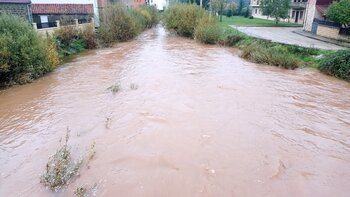 La crecida del Duero amenaza a los municipios pinariegos