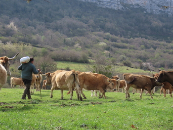 COAG quiere una asignatura sobre cultura agroalimentaria