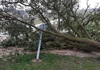 Diputación convoca las ayudas para paliar daños de tormentas