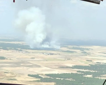 Medio Ambiente eleva a nivel 2 el fuego de Cabizuela en Ávila