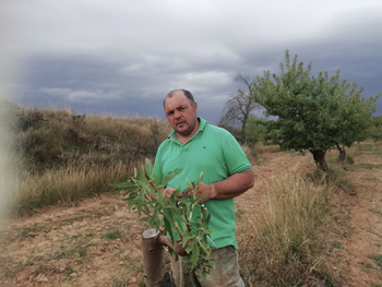 Nace Almendras del Moncayo