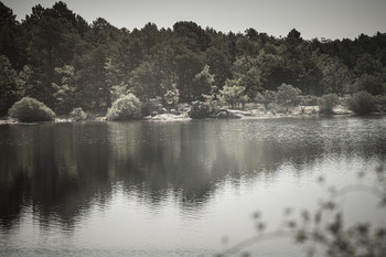 El embalse se mantiene por encima de la mitad de su capacidad