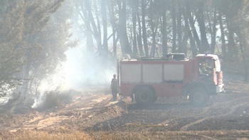 Soria registra 44 incendios en lo que va de verano