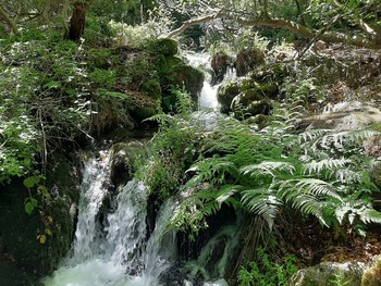 Primera visita guiada a la Novena Parte del Moncayo