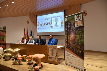 Montes de Soria presenta la mayor oferta de micoturismo