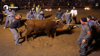 Admitido a trámite un nuevo recurso contra el Toro Jubilo