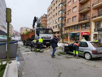 Un árbol cae sobre un coche en la calle Tejera