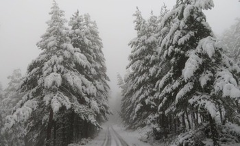 El invierno entra en Soria por Pinares