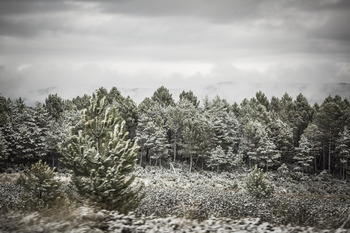 Activada la alerta por nevadas en Soria este miércoles