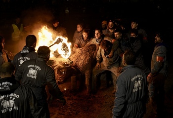 La Asociación del Toro Jubilo convoca una protesta el sábado