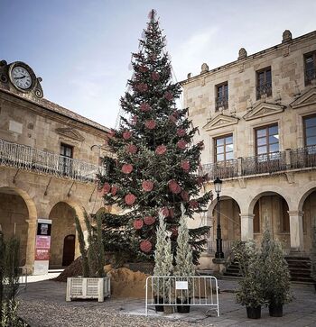 Navidad en Soria: Iluminación más allá del centro