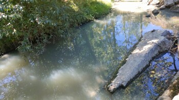 Asden denuncia vertidos contaminantes en San Pedro Manrique