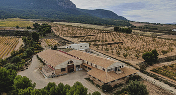 Un recorrido por la milenaria cultura vinícola del sureste