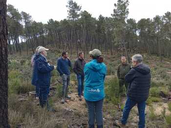 Castilla y León renueva el certificado forestal PEFC