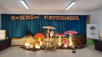 Arranca el Mycological Summer en Fuentearmegil