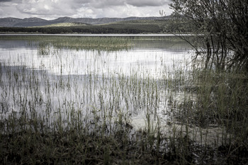 El agua embalsada en el pantano baja al 64,66% de su capacidad