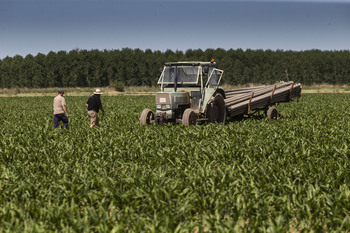 Agricultura sumará 472.000 euros a la ayudas a explotaciones