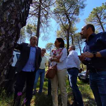 El PSOE se compromete a seguir financiando planes forestales
