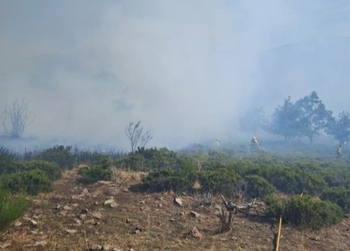 La BRIF de Lubia, en el incendio de Viniegra de Abajo