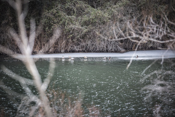 Soria, en aviso naranja de la Aemet por bajas temperaturas